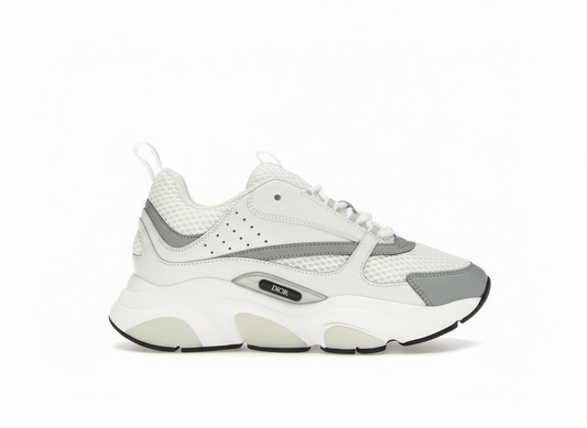 DIOR b22