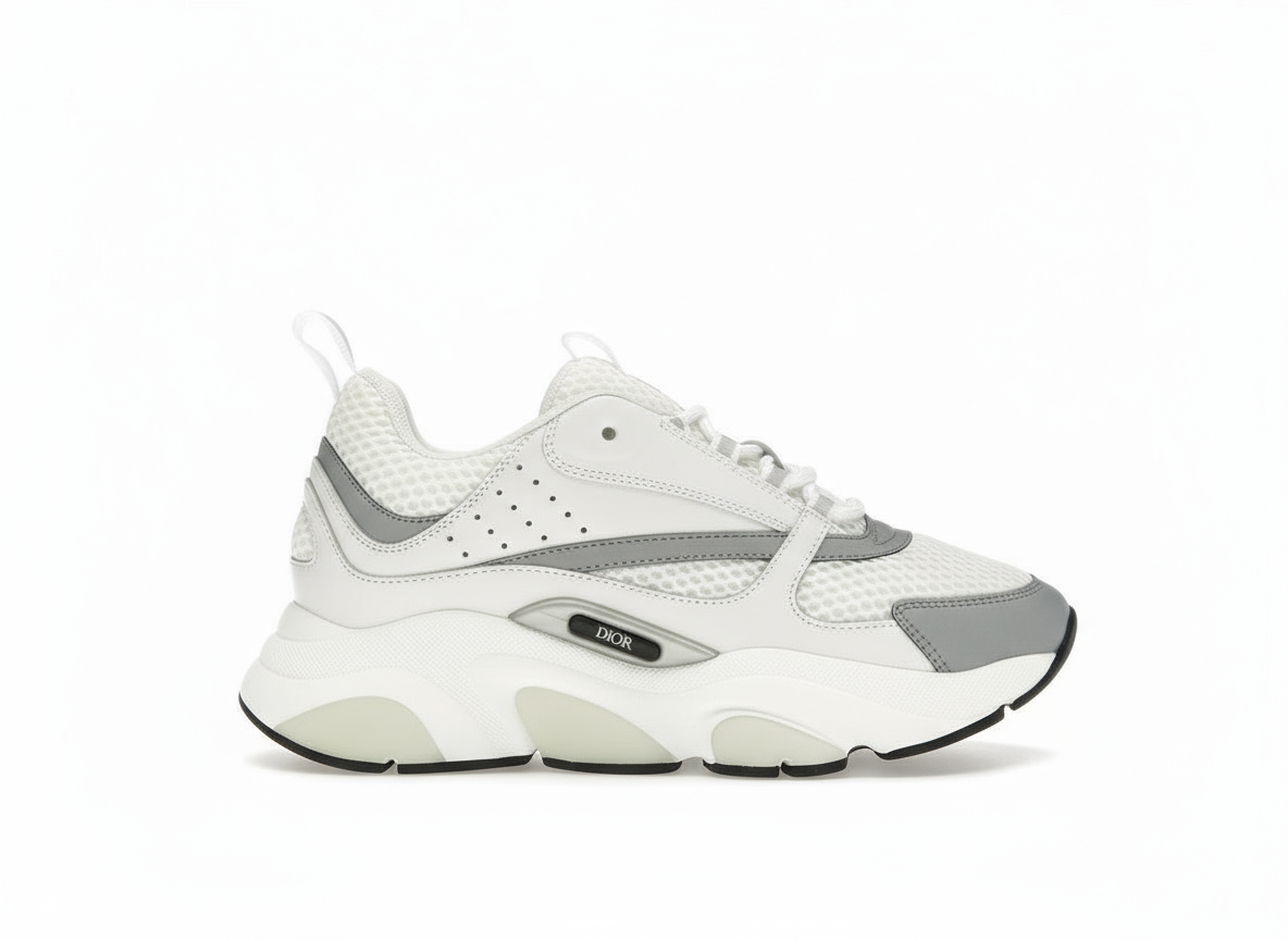 DIOR b22